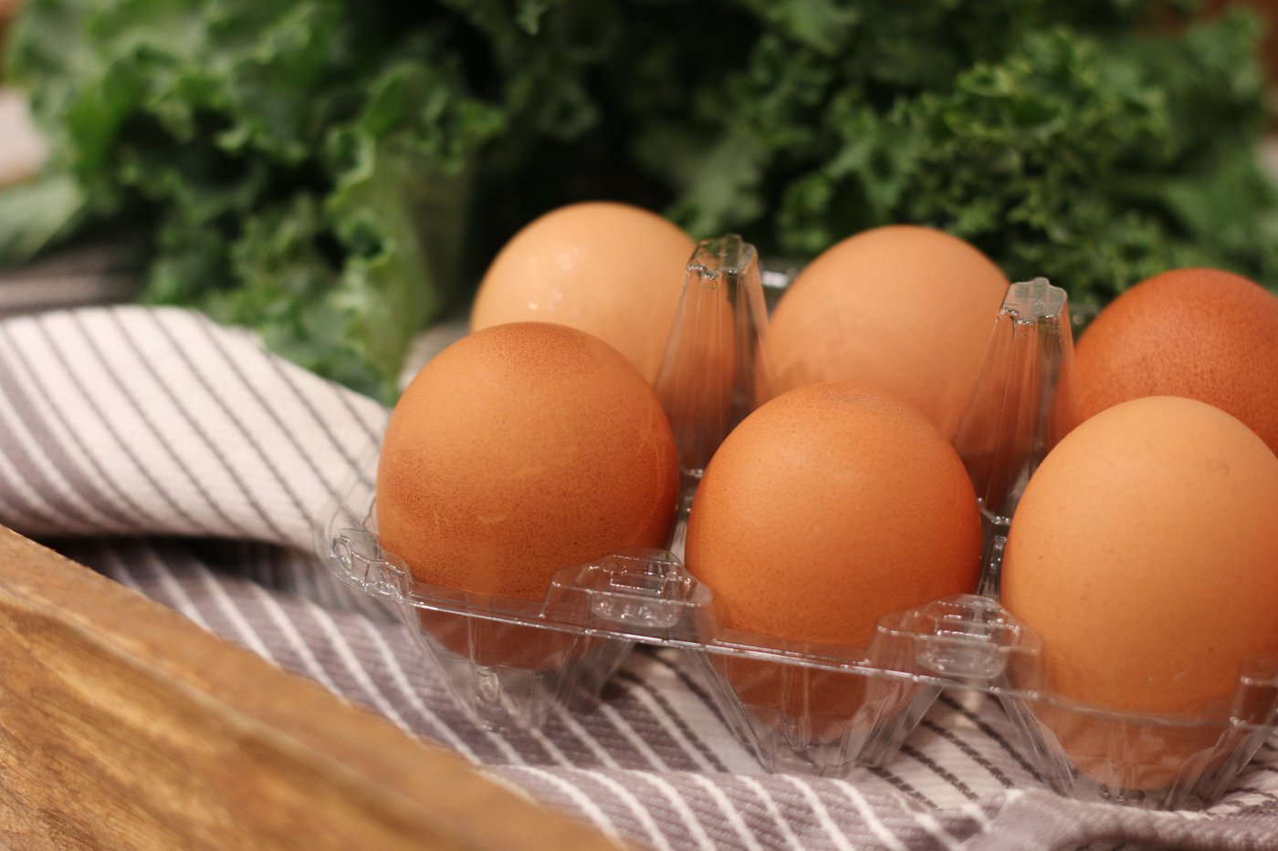 Fruitful advice for getting the most from a refrigerator and making groceries last longer | iNFOnews.ca
