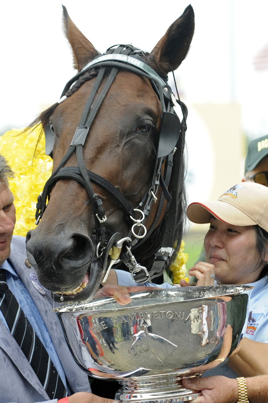 100th running of the Hambletonian marks a century of the biggest event in harness racing | iNFOnews.ca 100th running of the Hambletonian marks a century of the biggest event in harness racing | iNFOnews.ca