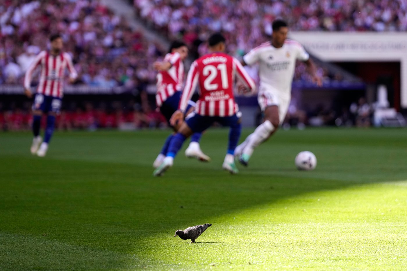 Mourinho blasts referee and VAR after Real Madrid’s 2-1 loss at Atletico | iNFOnews.ca Mourinho blasts referee and VAR after Real Madrid’s 2-1 loss at Atletico | iNFOnews.ca