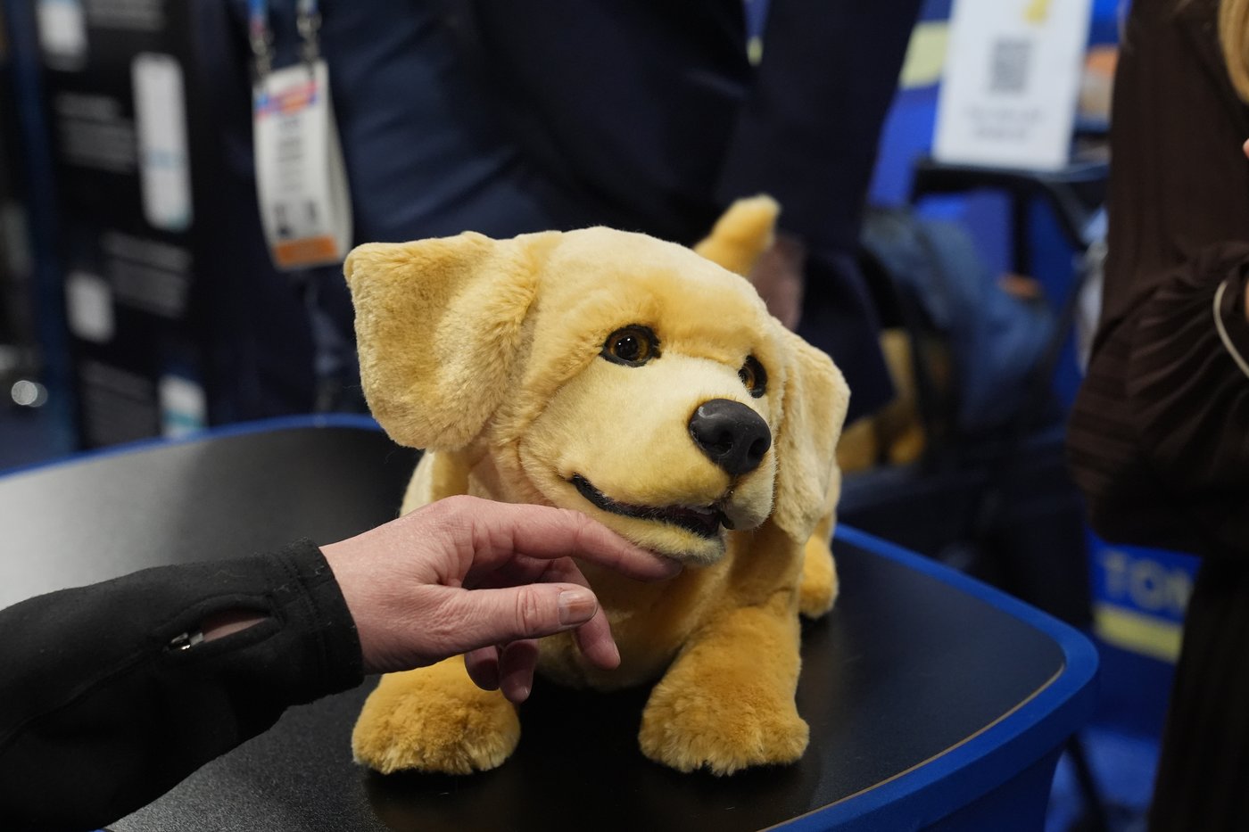 What to expect from CES 2026, the annual show of all things tech | iNFOnews.ca