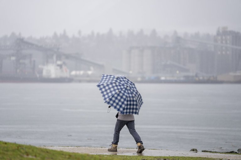 More rain, high winds heading for southern B.C. as province cleans up after storm | iNFOnews.ca