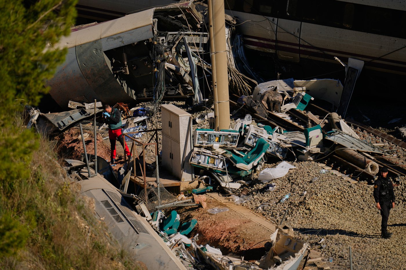 Survivor of Spain's train crash pleads for help finding her dog Boro, and social media users rally | iNFOnews.ca Survivor of Spain's train crash pleads for help finding her dog Boro, and social media users rally | iNFOnews.ca