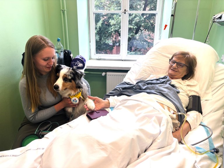 A cancer patient’s cats inspired a push for pets in hospice wards | iNFOnews.ca
