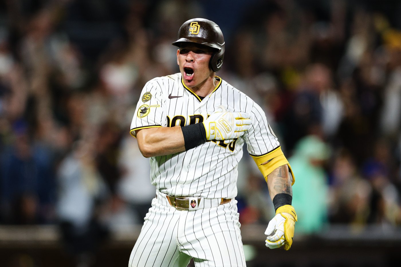 Freddy Fermin's first homer of season helps Padres halt 6-game slide with 3-2 win over Mets | iNFOnews.ca