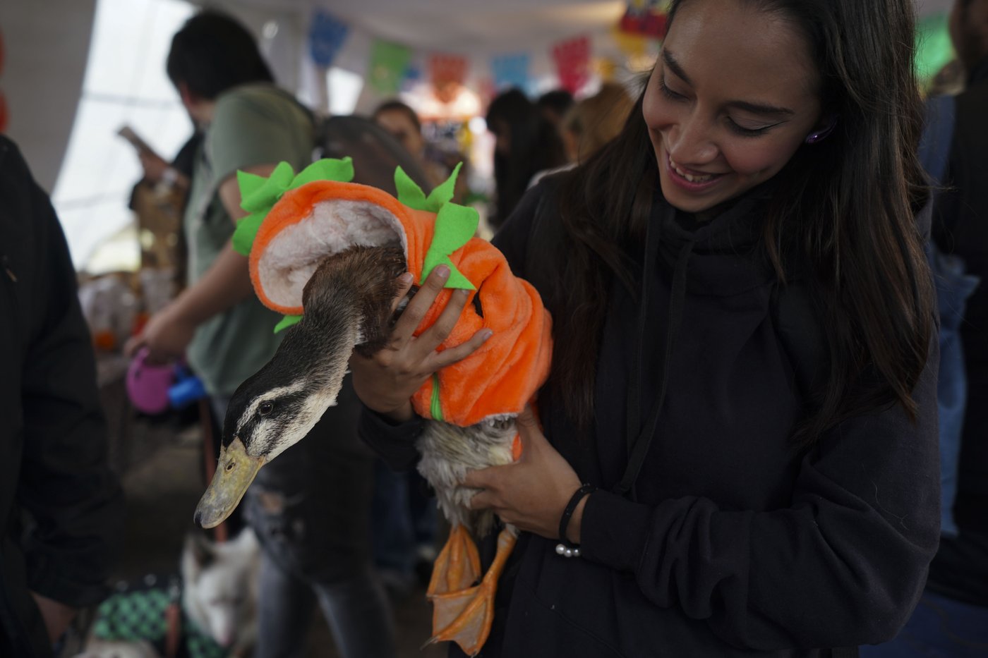 Pets join Mexico's Day of the Dead celebrations, as Fido and Tiger get their own altars | iNFOnews.ca Pets join Mexico's Day of the Dead celebrations, as Fido and Tiger get their own altars | iNFOnews.ca