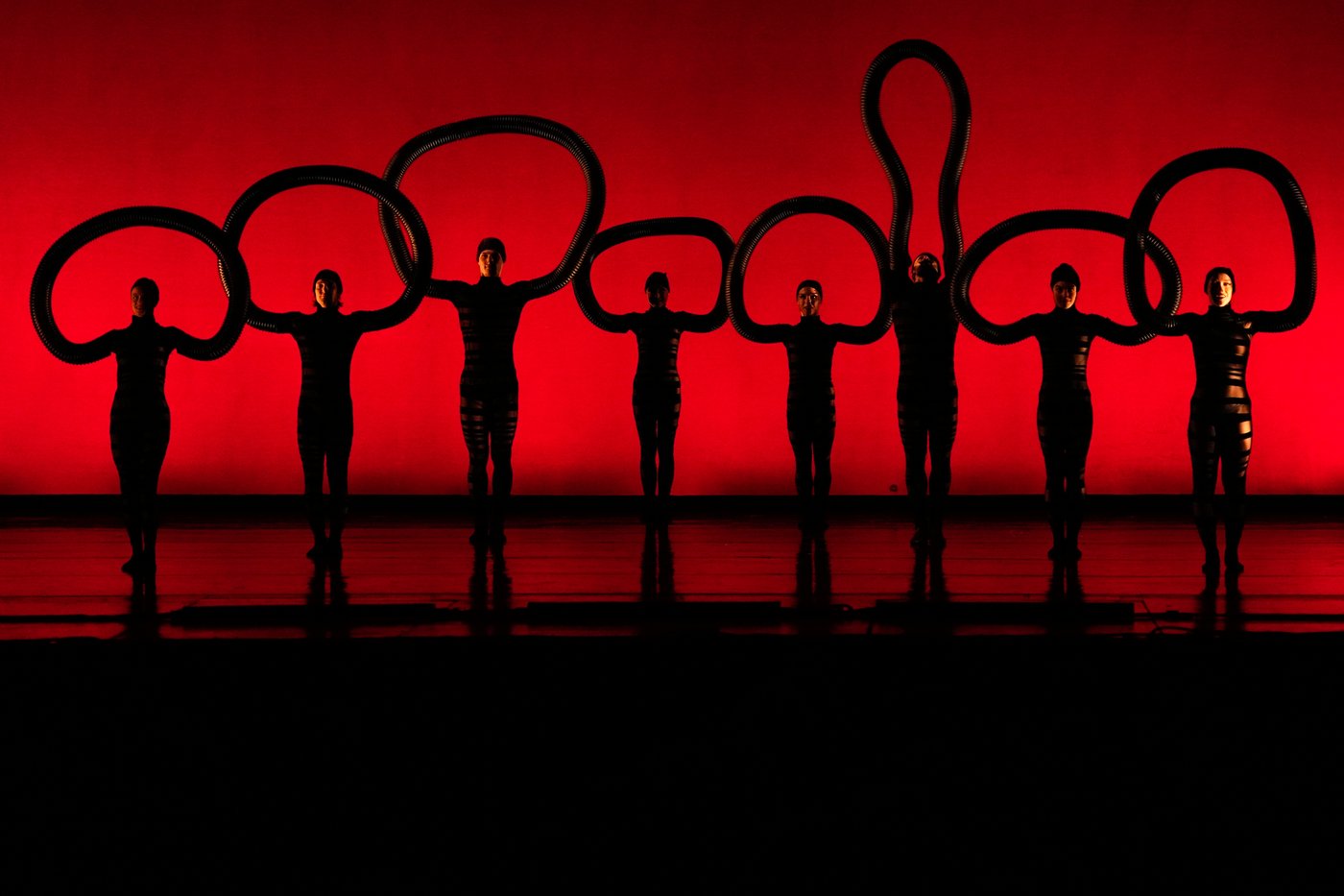 Photos show MOMIX performing its second season of 'Botanica' in Rome | iNFOnews.ca