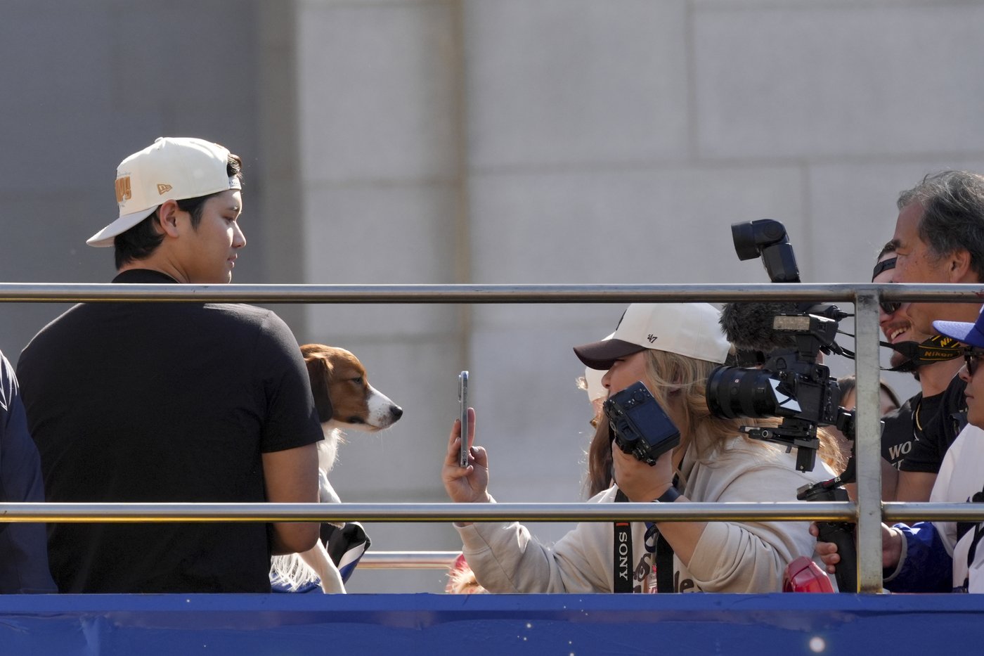 Meet Decoy Ohtani, perhaps the most valuable pet of the World Series | iNFOnews.ca Meet Decoy Ohtani, perhaps the most valuable pet of the World Series | iNFOnews.ca