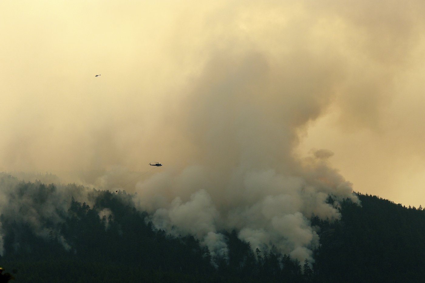 As Canada wildfires choke US with smoke, Republicans demand action. But not on climate change | iNFOnews.ca