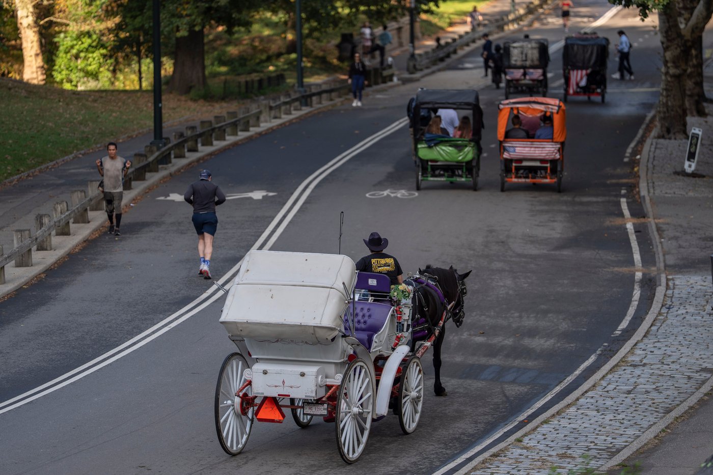 Facing a ban on horse-drawn carriages, Central Park's drivers fear for their livelihoods | iNwheels Facing a ban on horse-drawn carriages, Central Park's drivers fear for their livelihoods | iNwheels