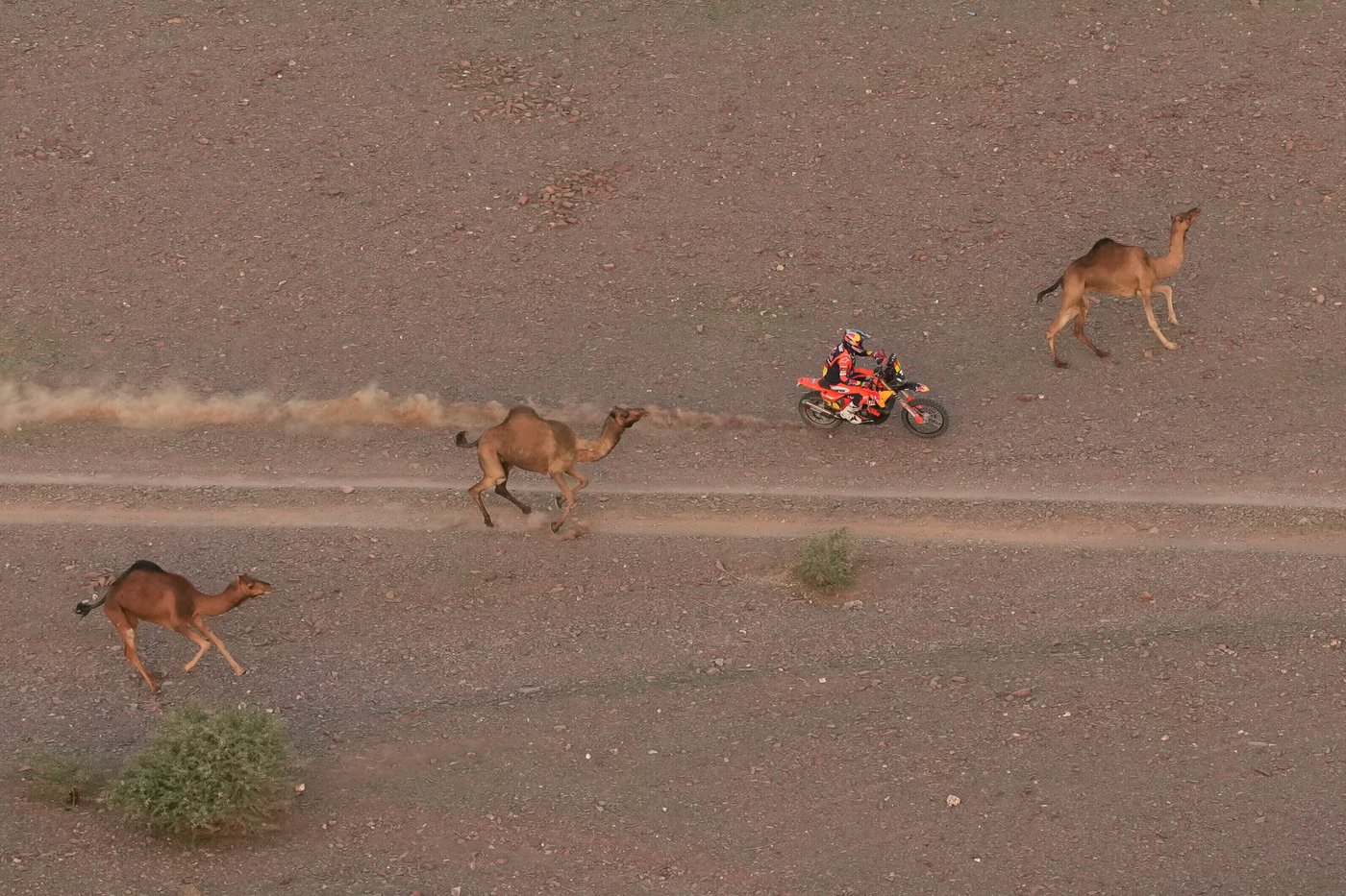 The top photos of the week by AP photojournalists | iNFOnews.ca