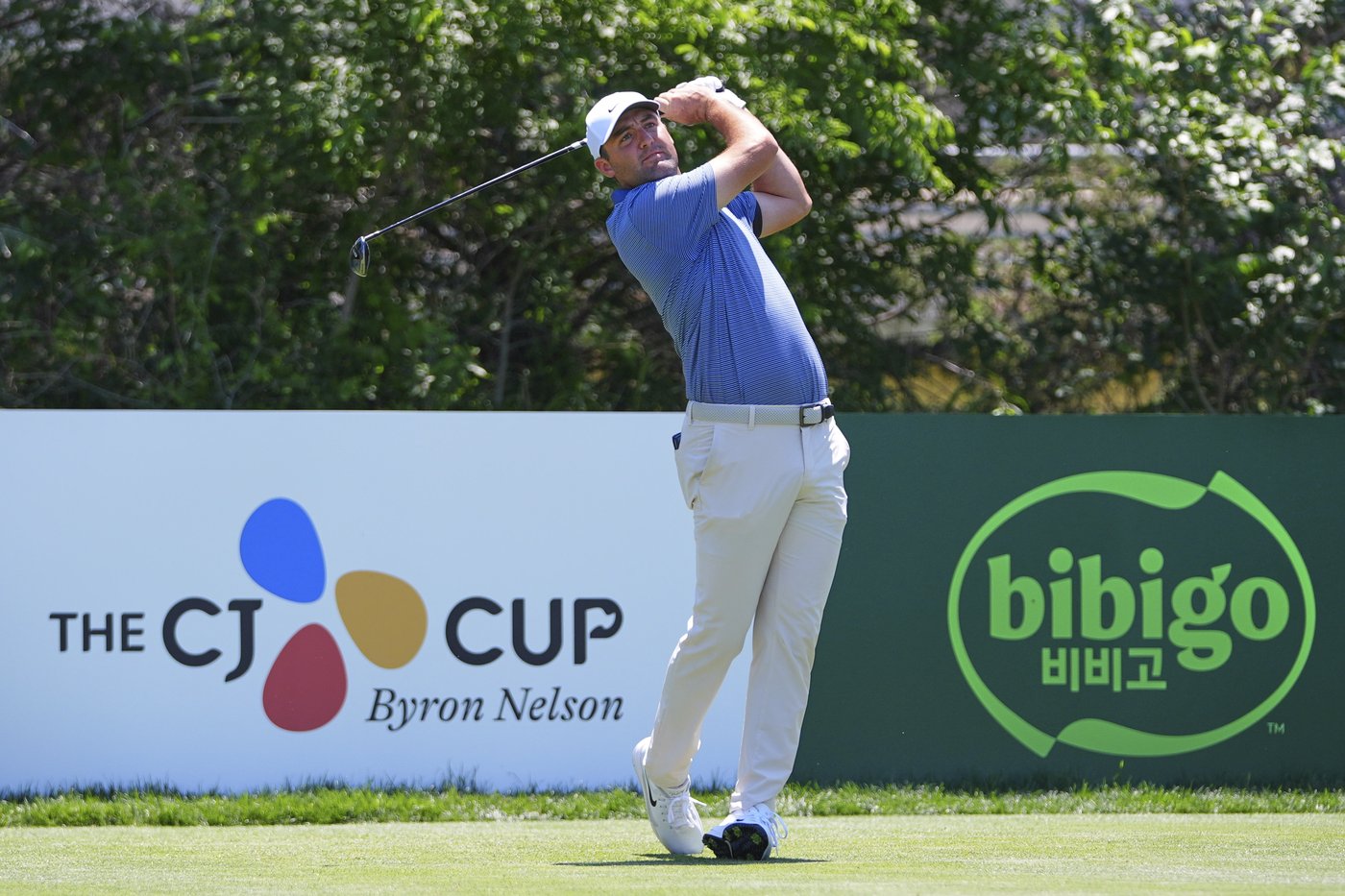 Scottie Scheffler matches PGA Tour 72-hole scoring record in 8-shot win at the Byron Nelson | iNFOnews.ca