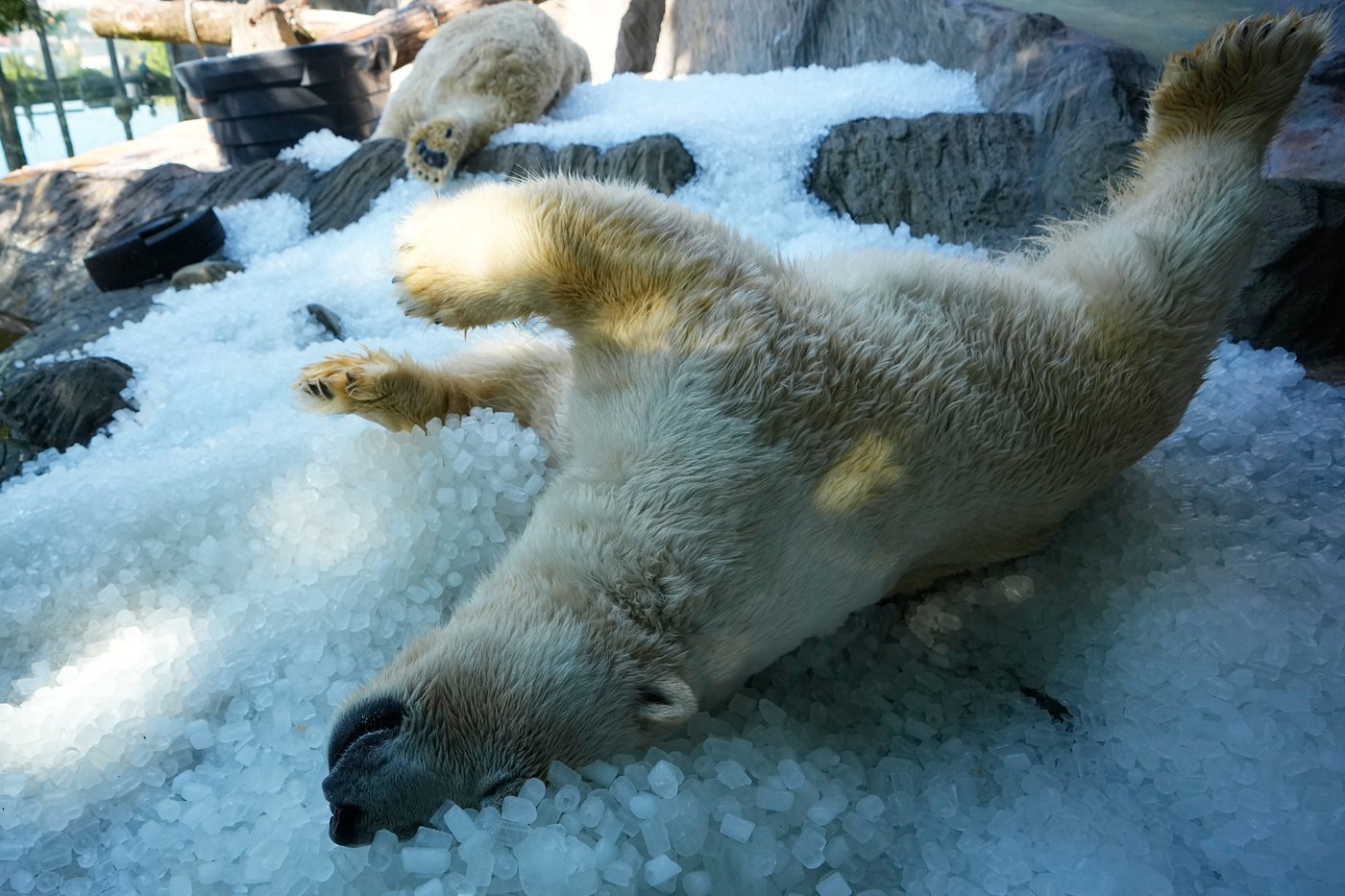 The top photos of the day by AP photojournalists | iNFOnews.ca