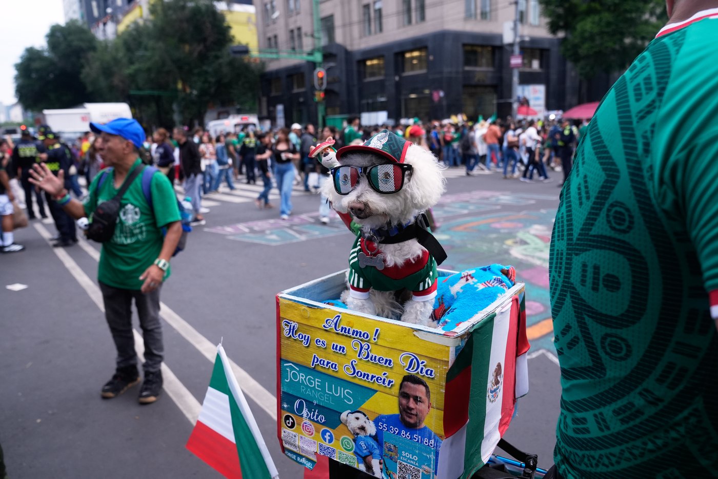 Rescue dog Osito steals hearts at the World Cup, one bike ride at a time | iNFOnews.ca Rescue dog Osito steals hearts at the World Cup, one bike ride at a time | iNFOnews.ca