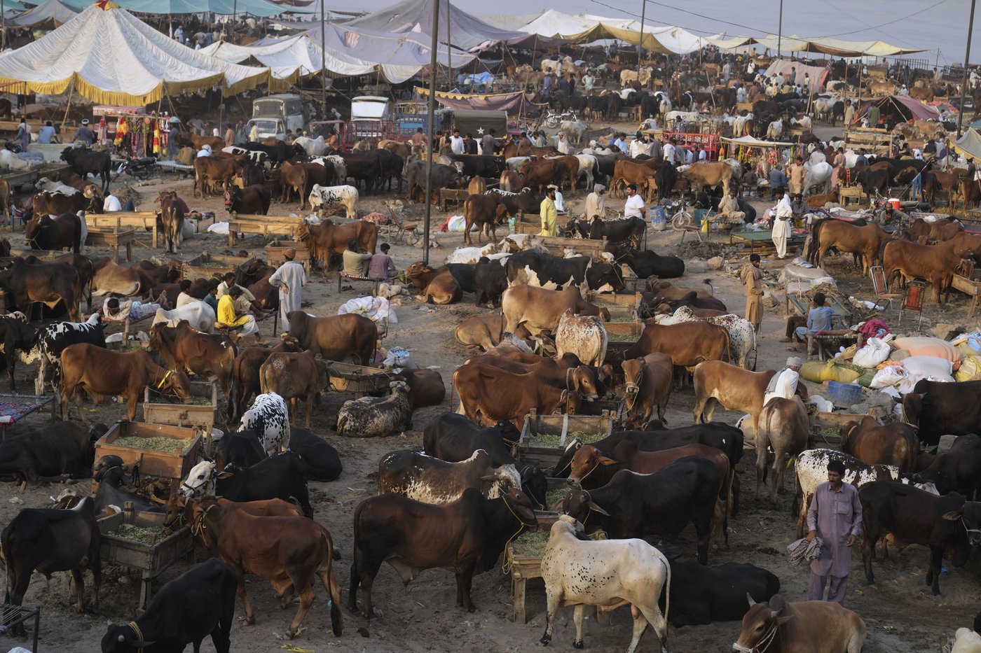 PHOTO COLLECTION: Eid al-Adha | iNFOnews.ca