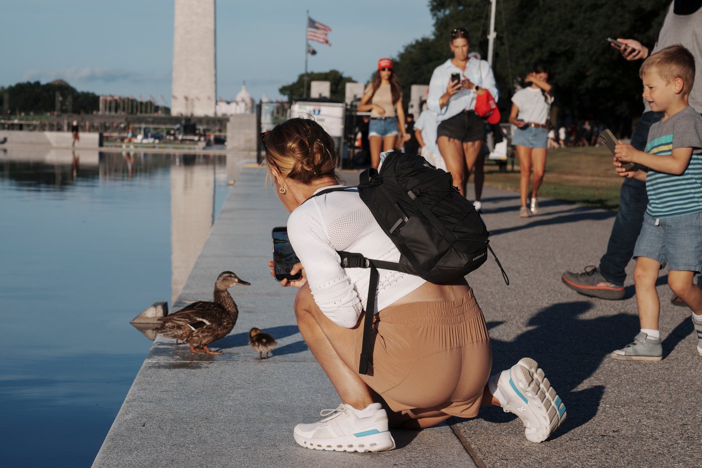 Troubled Reflecting Pool faces fresh scrutiny over vandalism claims and duck deaths | iNFOnews.ca Troubled Reflecting Pool faces fresh scrutiny over vandalism claims and duck deaths | iNFOnews.ca