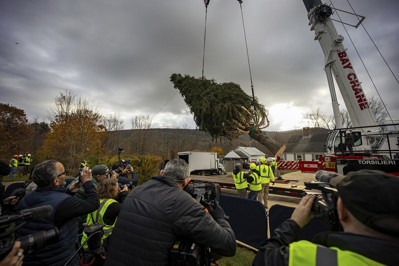 A green giant: This year's 74-foot Rockefeller Center Christmas tree is en route from Massachusetts | iNFOnews.ca