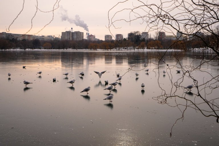 Freezing rain and ice disrupt travel across central and eastern Europe | iNFOnews.ca