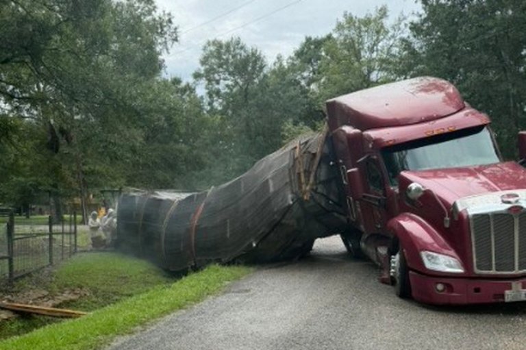 Millions of honeybees escape into a rural Texas neighborhood after a semitrailer crash | iNFOnews.ca