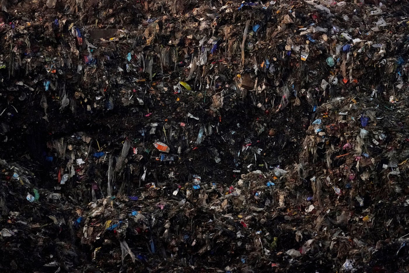 The food you toss costs you plenty and emits tons of pollution. We've got tips on how to cut down | iNFOnews.ca