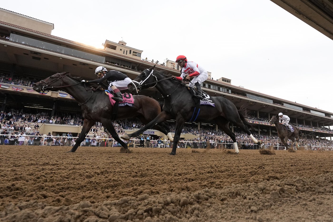 Sierra Leone wins $7 million Breeders' Cup Classic after suffering close loss in Kentucky Derby | iNFOnews.ca Sierra Leone wins $7 million Breeders' Cup Classic after suffering close loss in Kentucky Derby | iNFOnews.ca