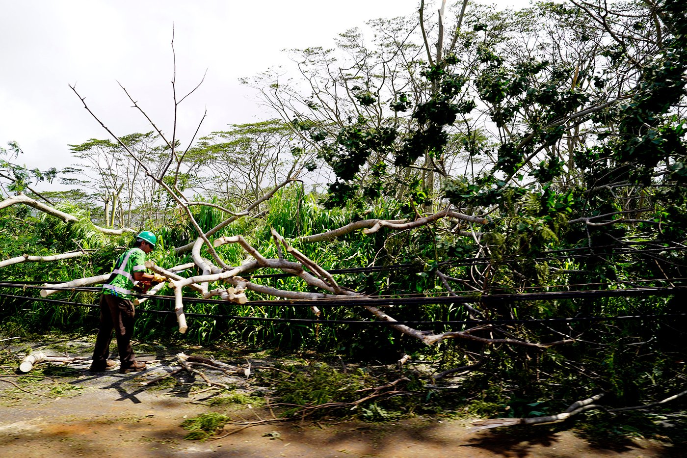 It's been an intense hurricane season in the Pacific and there's still a long way to go | iNwheels