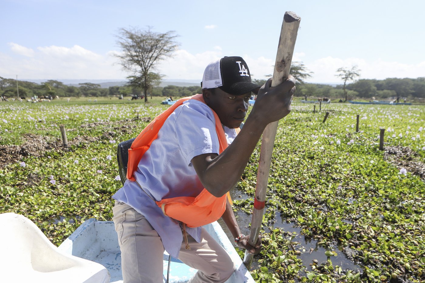 How the invasive water hyacinth is threatening fishermen's livelihoods on a popular Kenyan lake | iNFOnews.ca
