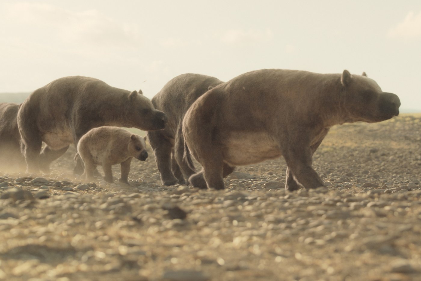 A foot-tall elephant? 'Prehistoric Planet: Ice Age' on Apple TV reveals surprising creatures | iNFOnews.ca A foot-tall elephant? 'Prehistoric Planet: Ice Age' on Apple TV reveals surprising creatures | iNFOnews.ca