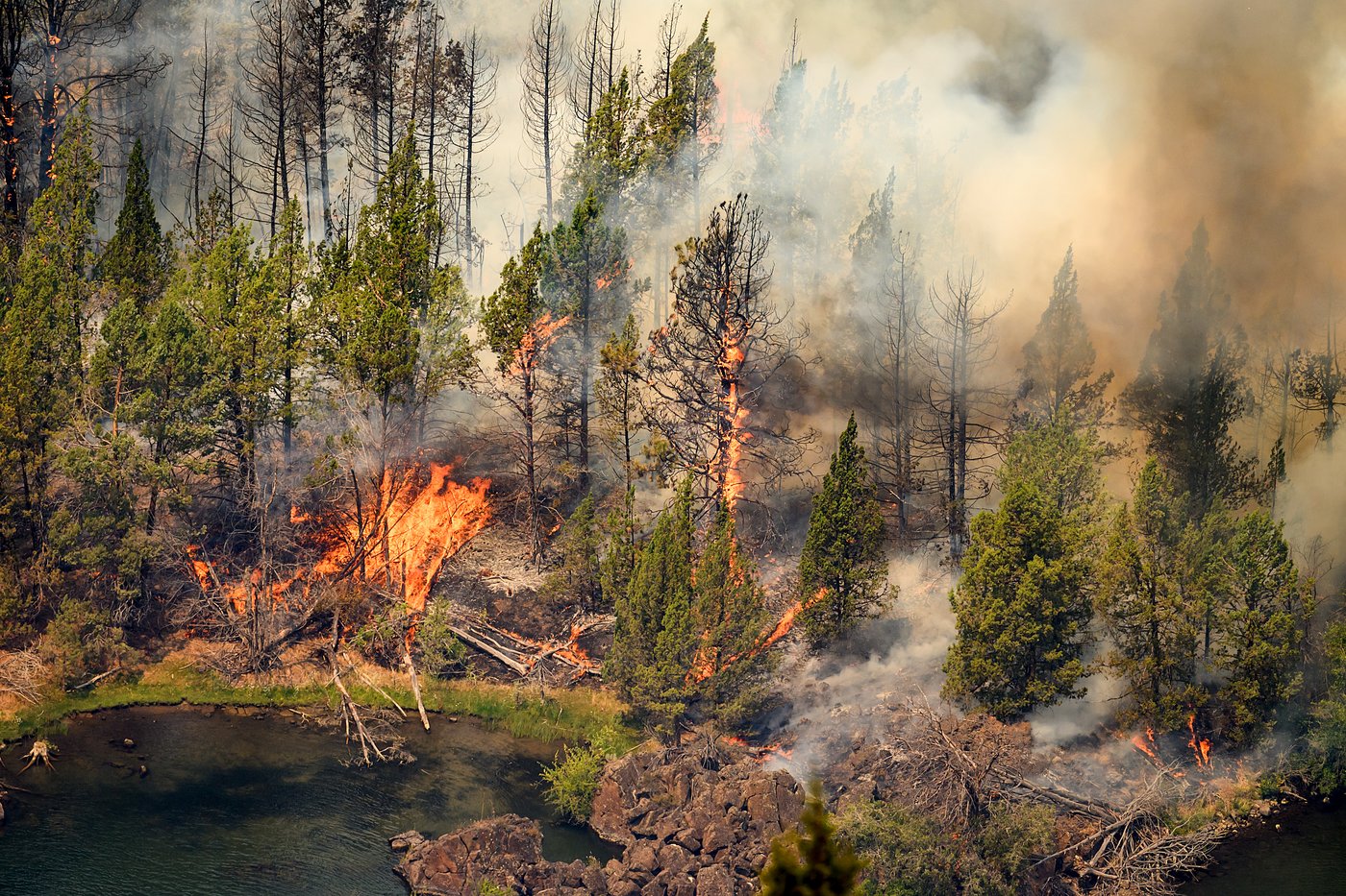 Fast-moving wildfires burn in central Oregon, in photos | iNFOnews.ca