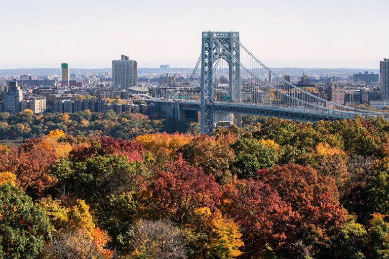 Driver is fatally shot while crossing the George Washington Bridge | iNFOnews.ca