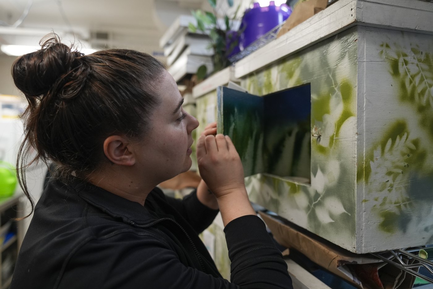 Avian enthusiasts try to counter the deadly risk of Chicago high-rises for migrating birds | iNFOnews.ca