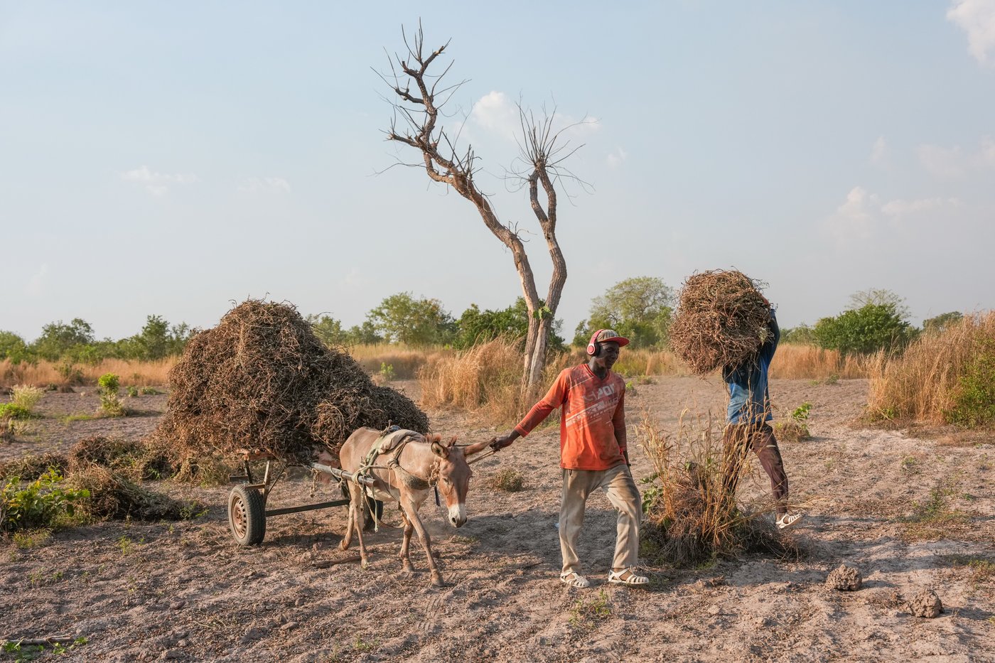 Young Africans find hope in farming as urban life becomes too expensive | iNFOnews.ca