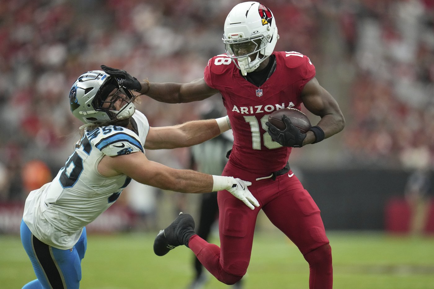 Calais Campbell's sack with 26 seconds left secures Cardinals' 27-22 win after Carolina comeback try | iNFOnews.ca