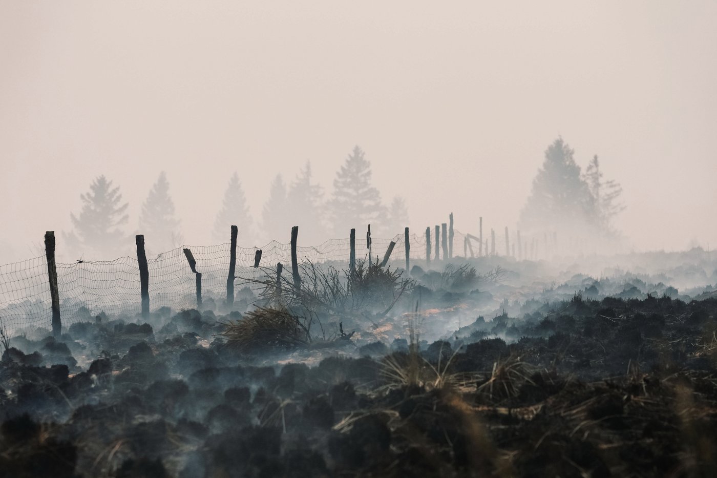 EU plans new firefighting fleet after deadly summer heat wave | iNFOnews.ca EU plans new firefighting fleet after deadly summer heat wave | iNFOnews.ca