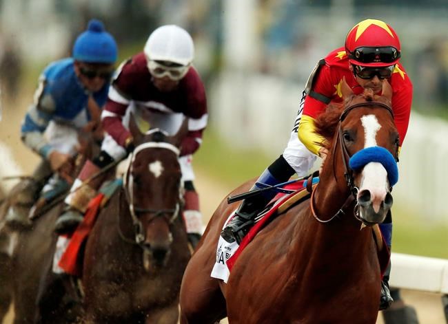 Justify's Triple Crown run caps magical run for Canadians John and Tanya Gunther | iNFOnews.ca
