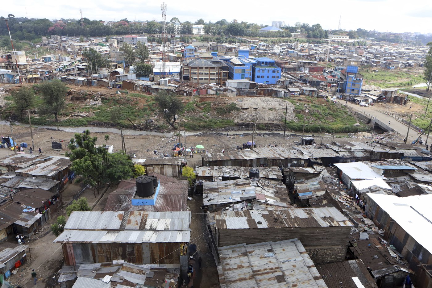 From guns to gardens: Former gangsters fight hunger in Kenya | iNFOnews.ca From guns to gardens: Former gangsters fight hunger in Kenya | iNFOnews.ca