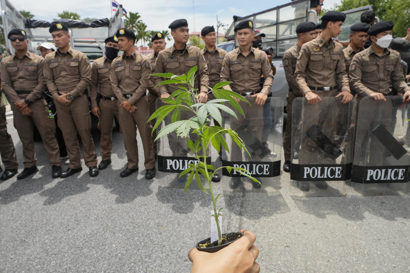 Thailand vows to tighten control on cannabis after smuggling cases involving tourists soar | iNFOnews.ca Thailand vows to tighten control on cannabis after smuggling cases involving tourists soar | iNFOnews.ca