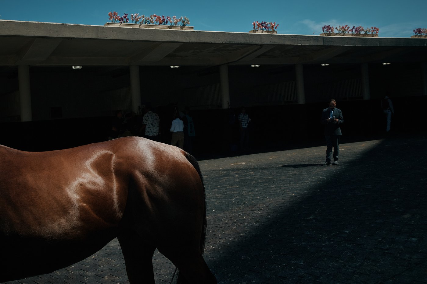 PHOTO ESSAY: Aqueduct Race Track closes after 'A Good Run' of over 130 years | iNFOnews.ca