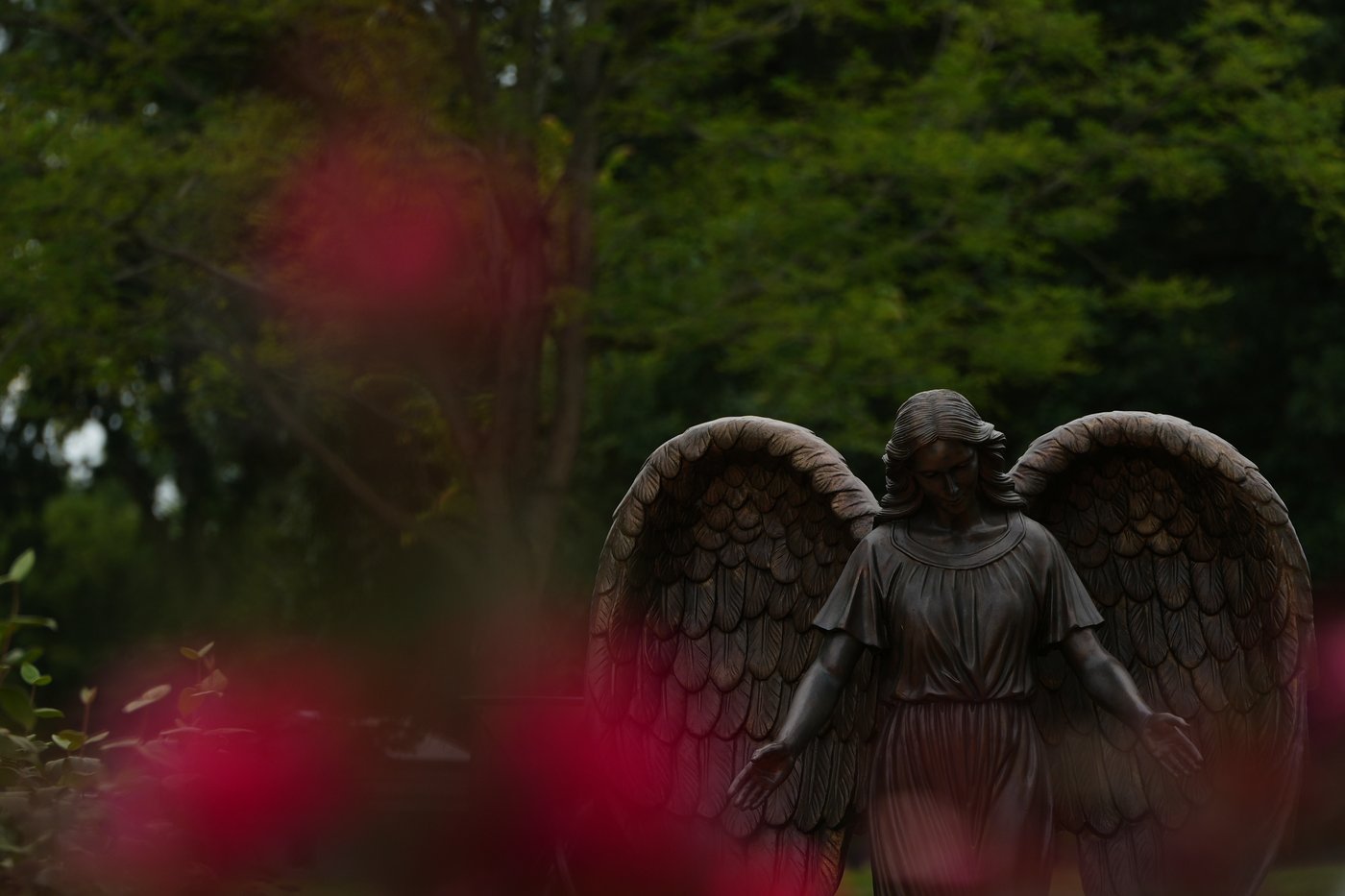 She lived to see ‘Deb’s law’ take effect. Now she can choose how she dies | iNFOnews.ca