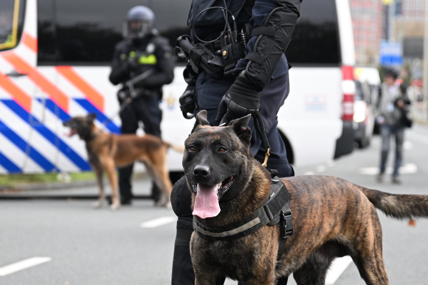 Dutch riot police break up far-right protest in The Hague after violence erupts | iNFOnews.ca Dutch riot police break up far-right protest in The Hague after violence erupts | iNFOnews.ca