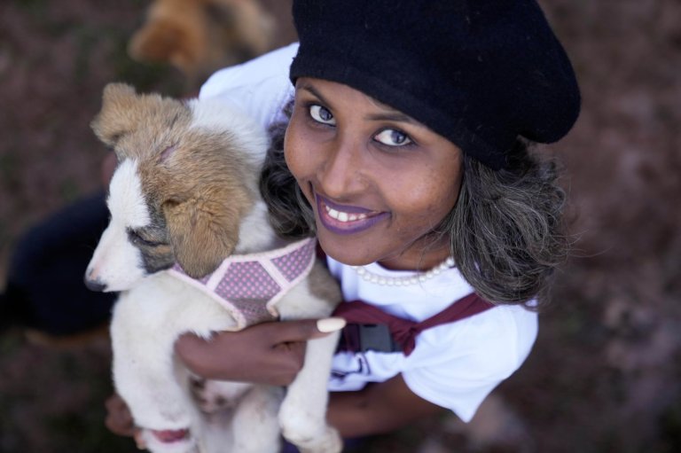 Abandoned dogs in Ethiopia's capital get little care. A woman wants to change that | iNFOnews.ca