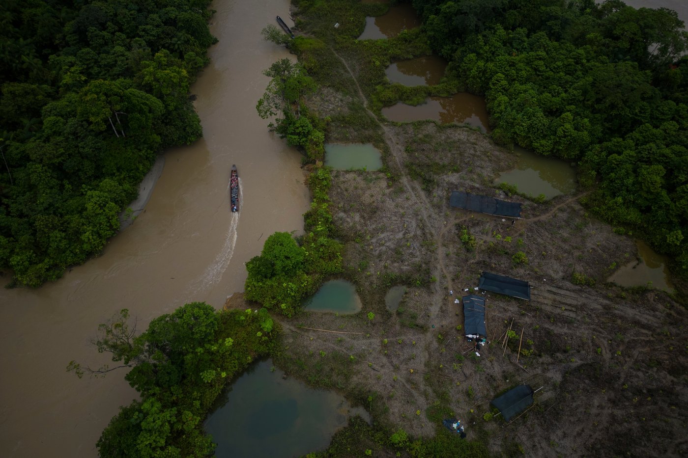 Indigenous Amazon groups urge the UN to curb organized crime, not militarize territories | iNFOnews.ca