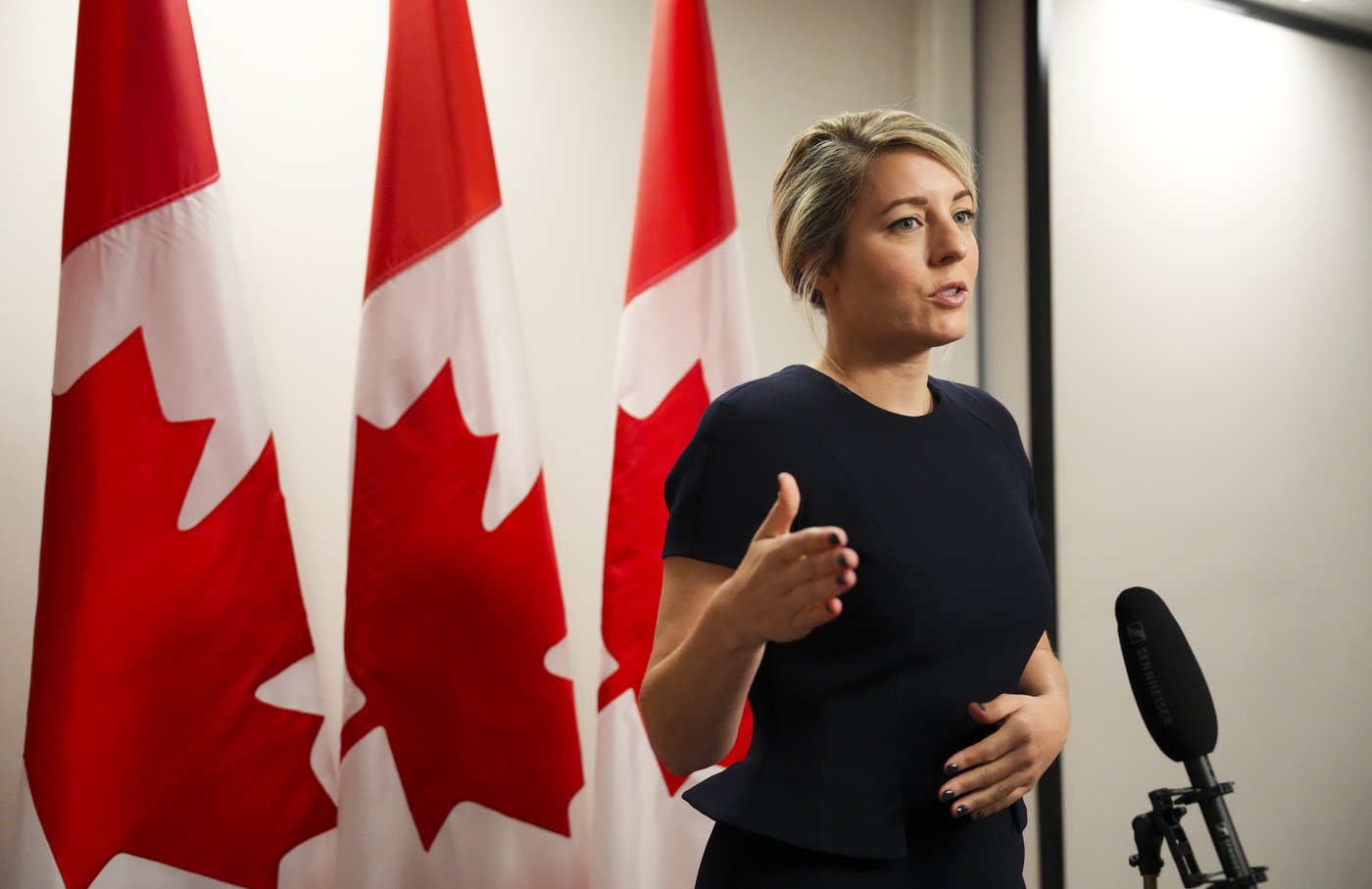 Mélanie Joly plans to meet with Lebanese minister at Francophonie summit | iNFOnews.ca