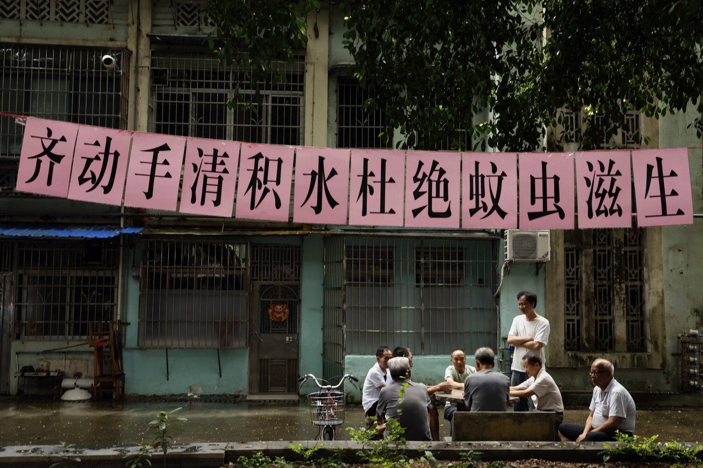 China fights mosquito-borne chikungunya virus with drones, fines and nets as thousands fall ill | iNFOnews.ca China fights mosquito-borne chikungunya virus with drones, fines and nets as thousands fall ill | iNFOnews.ca
