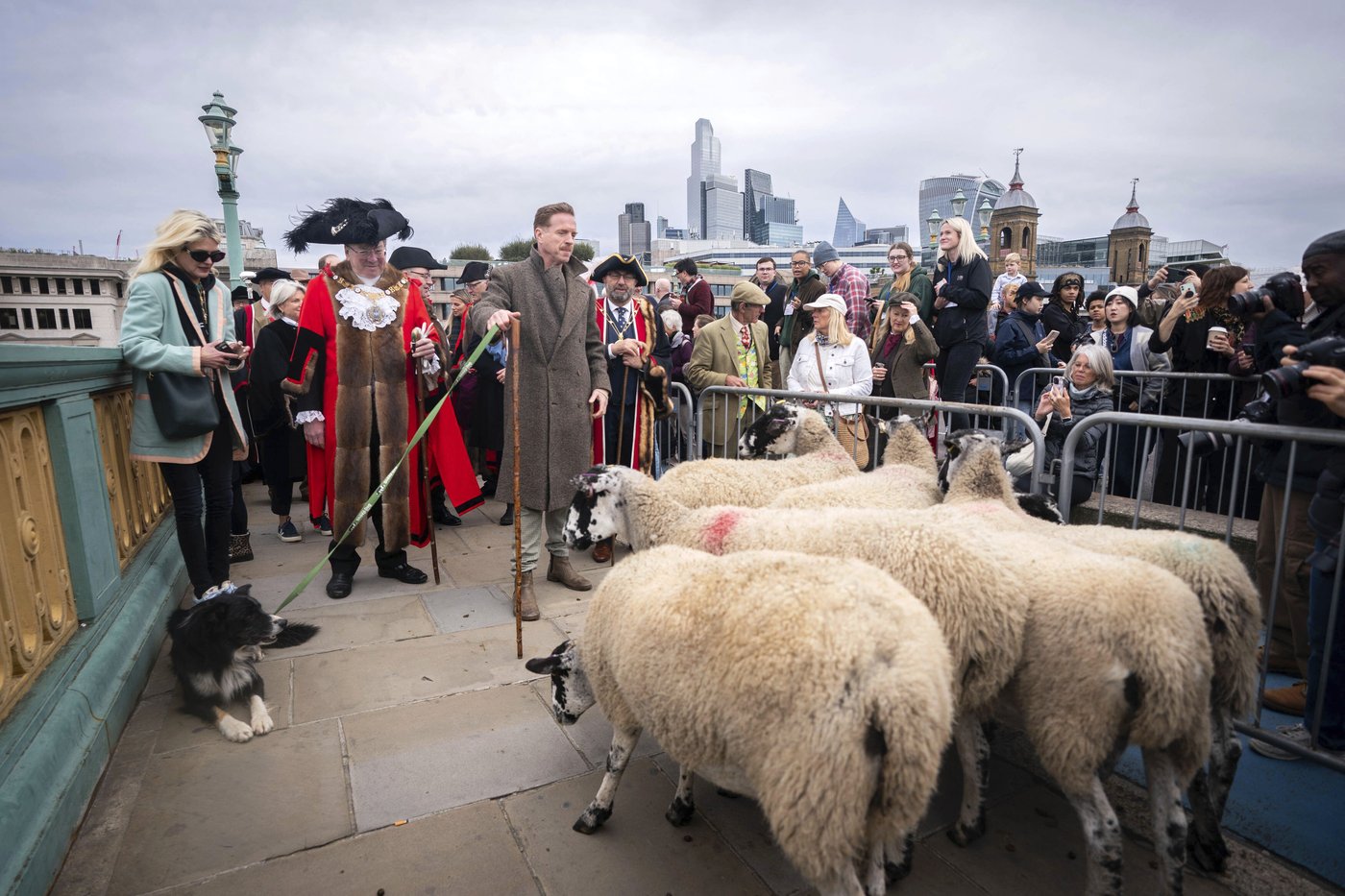 Damian Lewis herds sheep over a London bridge in homage to a medieval tradition | iNFOnews.ca