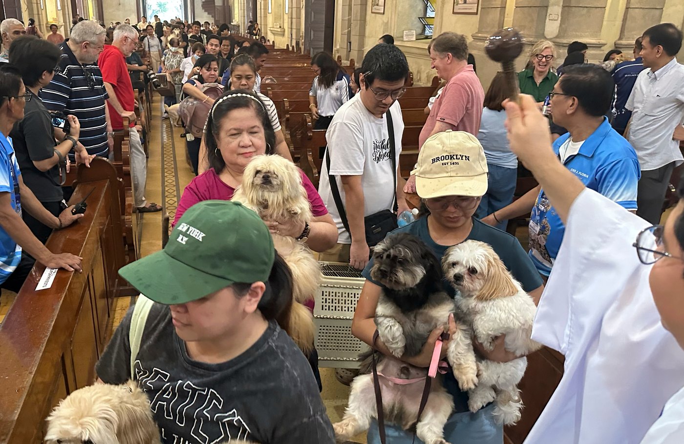 Wagging tails fill a Philippine church where priests bless pets for St. Francis feast | iNFOnews.ca Wagging tails fill a Philippine church where priests bless pets for St. Francis feast | iNFOnews.ca