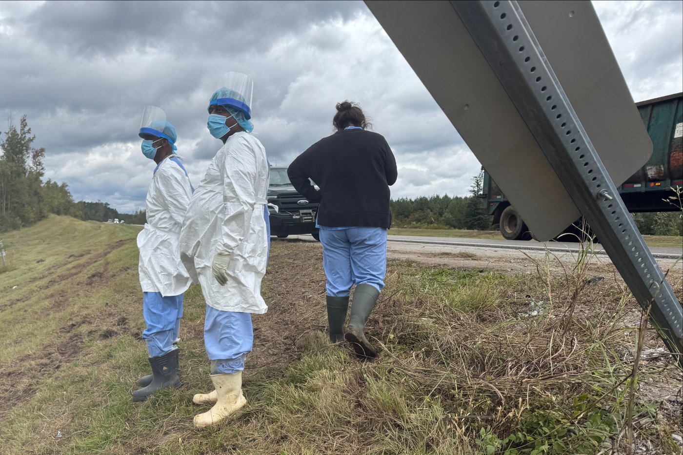 Search is on for 3 escaped monkeys after truck overturns on Mississippi highway | iNFOnews.ca Search is on for 3 escaped monkeys after truck overturns on Mississippi highway | iNFOnews.ca