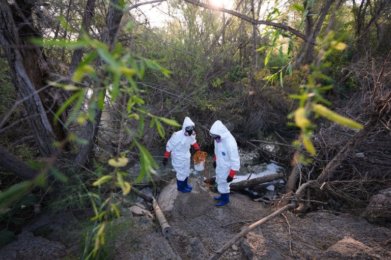 Thousands suffer nausea, delirium and other health issues from toxins in the Tijuana River | iNFOnews.ca