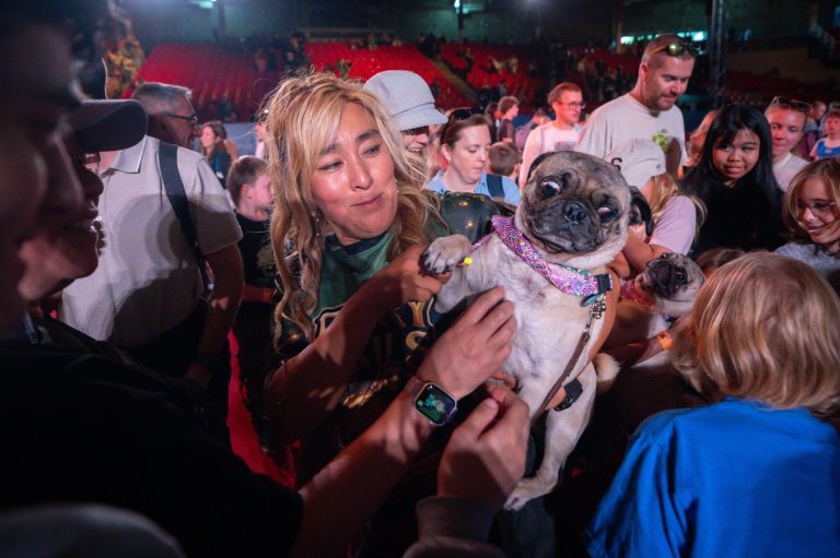 SuperDogs lap up the love, 50 years after being unleashed on adoring fans | iNFOnews.ca
