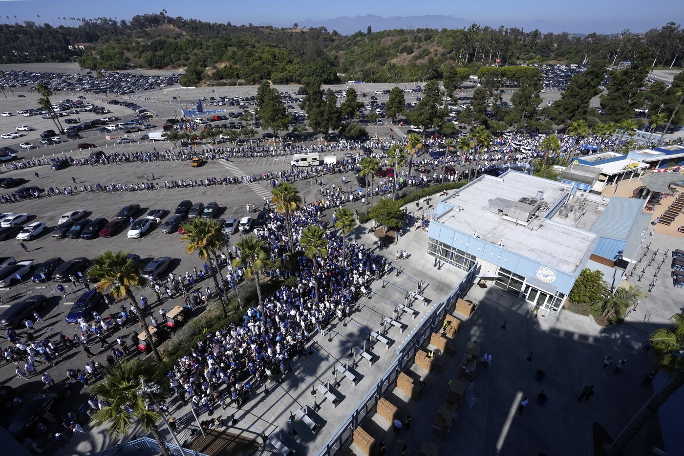 PHOTO COLLECTION: Ohtani's first season with Dodgers | iNFOnews.ca