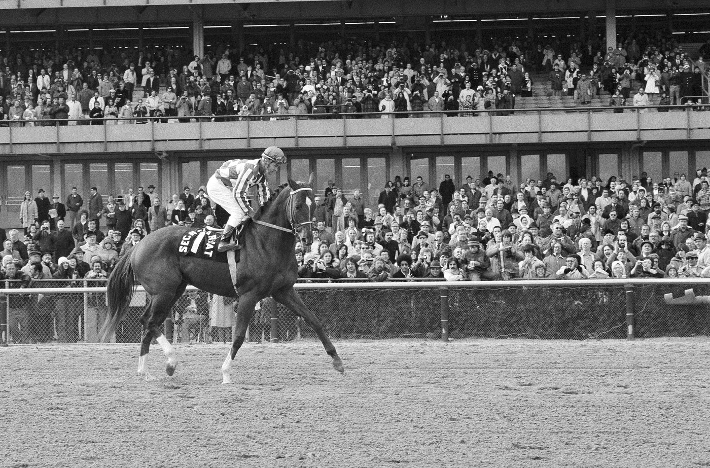 Ron Turcotte, who rode Secretariat to the 1973 Triple Crown, dead at 84 | iNFOnews.ca Ron Turcotte, who rode Secretariat to the 1973 Triple Crown, dead at 84 | iNFOnews.ca